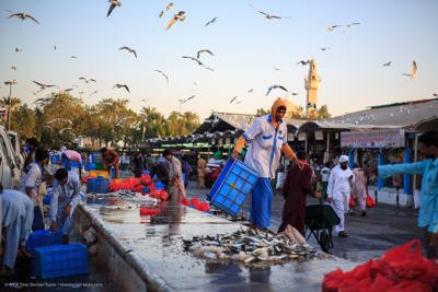 الصيد الجائر يهدد الشعاب المرجانية في الشرق الأوسط مقالات Nature Middle East