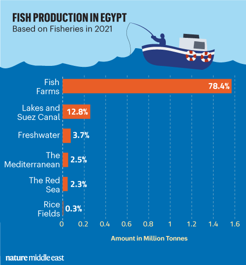 How the world subsidizes overfishing, in two charts - Vox