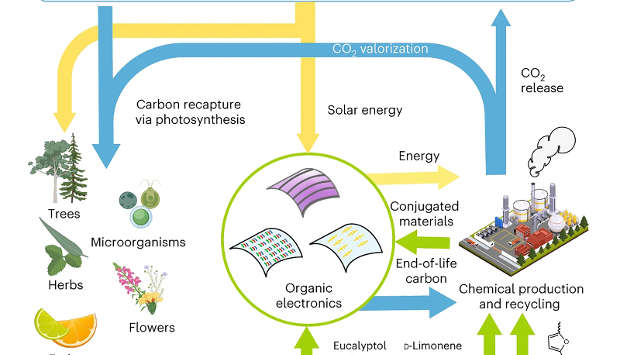 A green solution for organic electronics - News - Nature Middle East