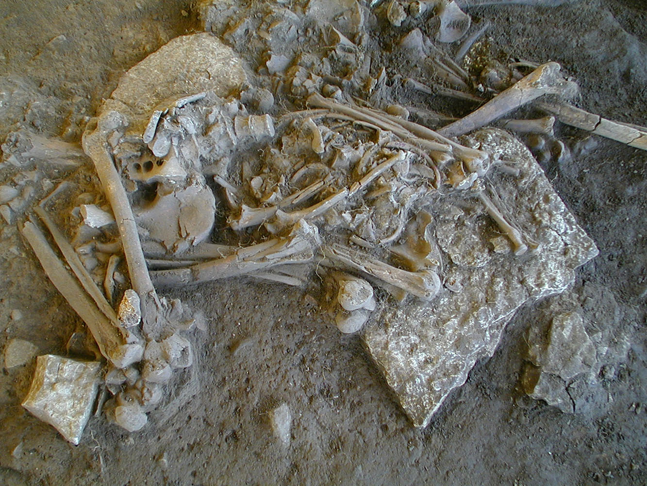 スウェーデン西部の巨石墓で発見された30〜40歳の女性の骨格。