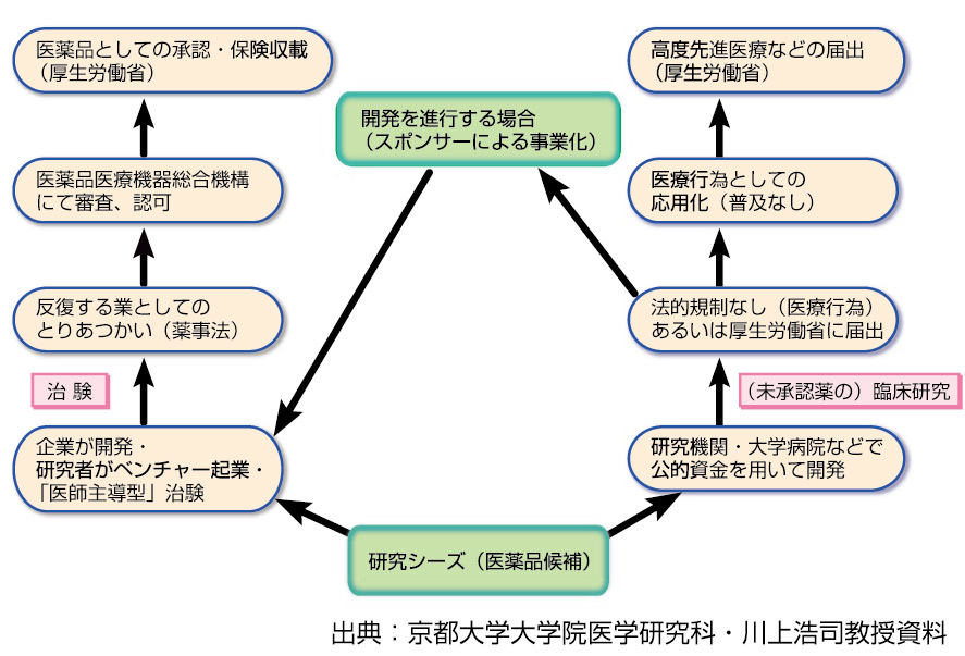 医薬品や医療機器の臨床試験や審査 承認の現場が新しい展開を迎えている 特集記事 Nature Careers Nature Portfolio