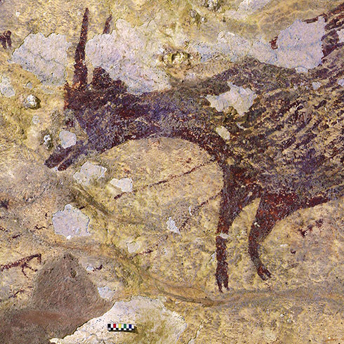 物語を描いた人類最古の洞窟壁画か | Nature ダイジェスト | Nature 