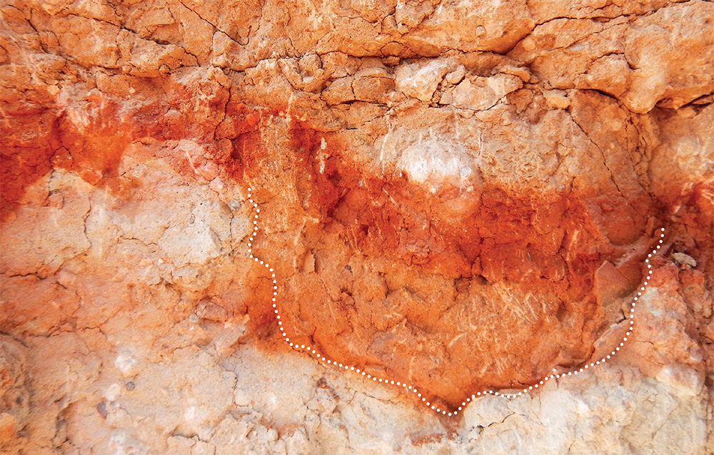 恐竜の集団営巣行動を示す強力な証拠 | Nature ダイジェスト | Nature Portfolio