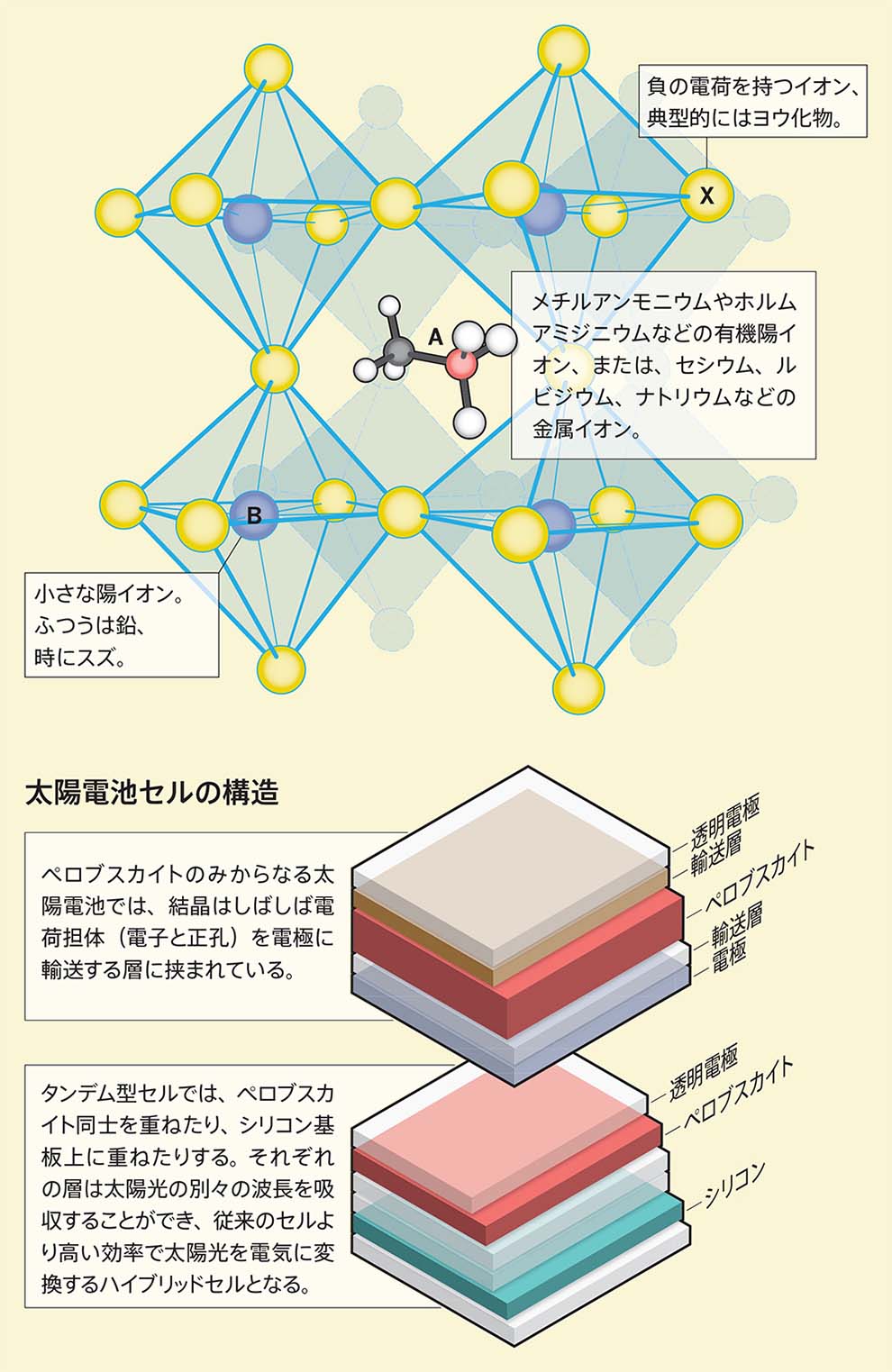 ペロブスカイト太陽電池が直面する現実 | Nature ダイジェスト | Nature Portfolio