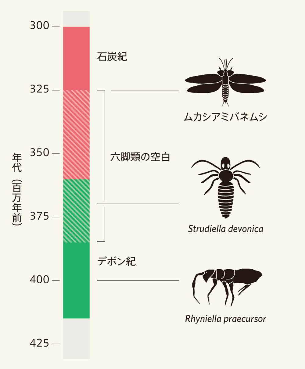 進化の空白を埋める昆虫化石 | Nature ダイジェスト | Nature Portfolio